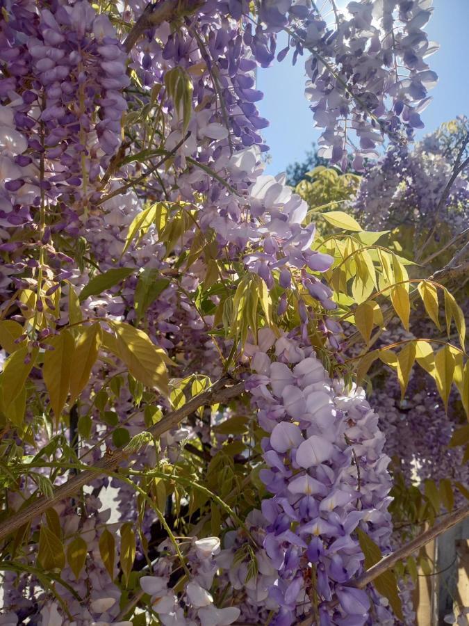 Lilac House Corfu  Esterno foto